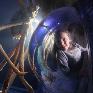 Shop Admission for One Adult and One Child to SEA LIFE Manchester