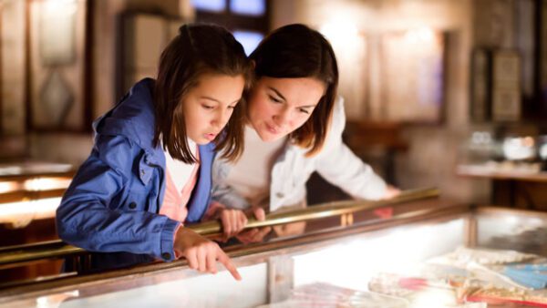 Shop the Ultimate Family Explorer Experience Kit - Image 4
