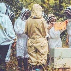 Shop the Exclusive Three-Hour Beekeeping Experience for One with The London Bee Company