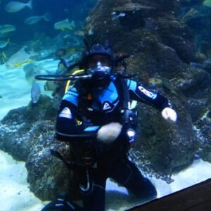 Shop the Exclusive Midweek Offer: Dive with Sharks Experience at Skegness Aquarium