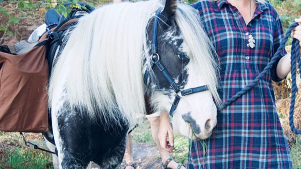 Shop the Exclusive Overnight Arabian Wild Camp Adventure and Pony Trek Experience with The Ancient Trails Company for Individuals