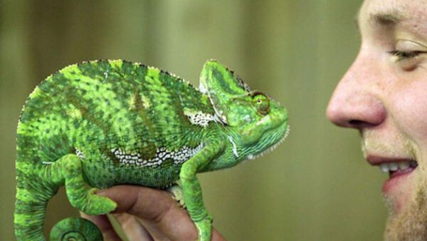 Shop the Exclusive Half-Day Keeper Experience for Couples at Northumberland College Zoo - Image 3