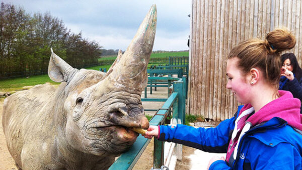 Shop: Exclusive Family Pass for Four to Howletts Wild Animal Park with Complimentary Animal Adoption Package