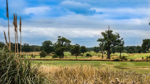 Shop the Ultimate Spa Retreat for Two: Indulge in Treatments, Lunch, and Dinner at Whittlebury Park - Image 9