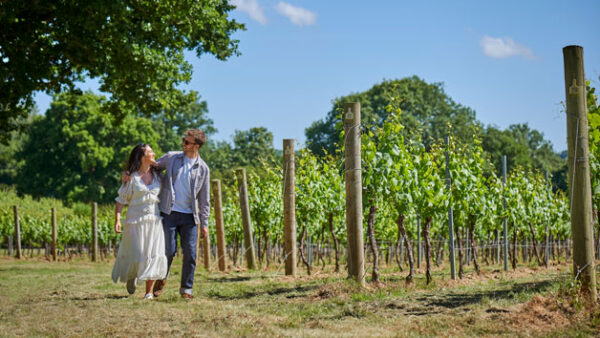 Shop the Exclusive Cheese and Wine Tasting Experience for Two at Chapel Down Wines - Image 7