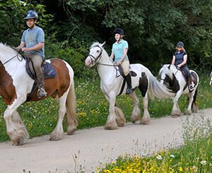 Shop Your Guide to Beginning Horse Riding in Nottinghamshire