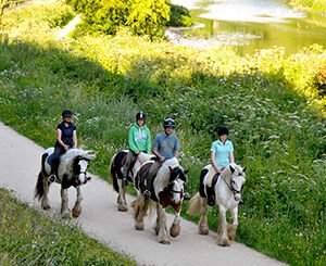 Shop Your Guide to Beginning Horse Riding in Nottinghamshire