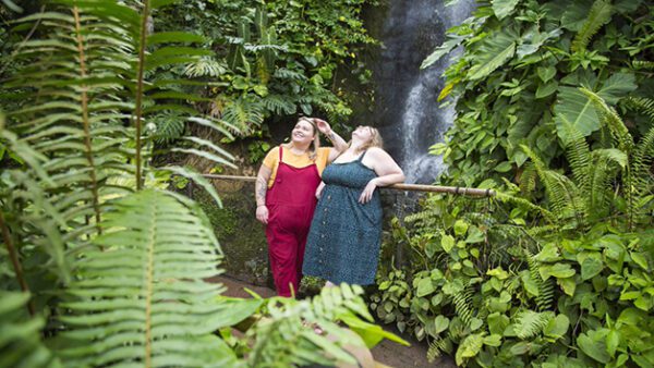 Shop for an Exclusive One-Year Individual Membership to the Eden Project - Image 3