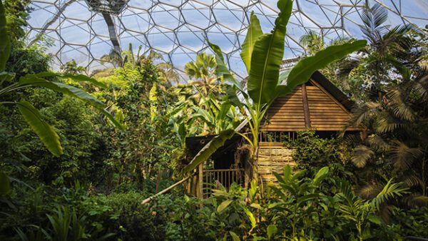 Shop for an Exclusive One-Year Individual Membership to the Eden Project - Image 4