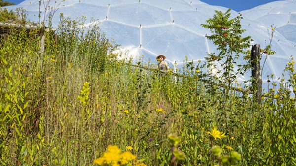 Shop for an Exclusive One-Year Individual Membership to the Eden Project - Image 5