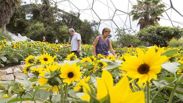 Shop for an Exclusive One-Year Individual Membership to the Eden Project - Image 6