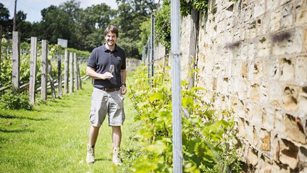 Shop the Exclusive Winery or Vineyard Tour for Two with Tasting Experience at the English Wine Project - Image 2