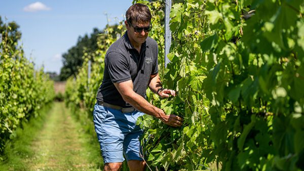 Shop the Exclusive Winery or Vineyard Tour for Two with Tasting Experience at the English Wine Project - Image 3