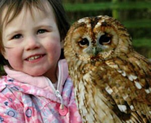 Shop the Children’s Introductory Experience with Birds of Prey