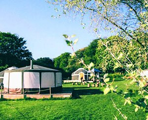 Shop for an Exclusive Two-Night Yurt Getaway in Norfolk – Accommodates Four Guests