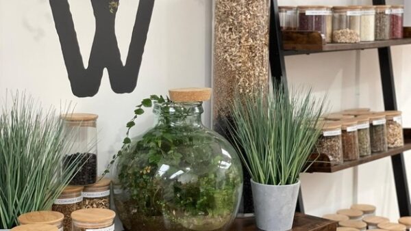Shop the Exclusive Wildjac Gin Tasting Experience for Two - Image 3