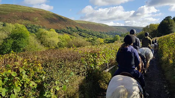 Shop the Exclusive Dual Horseback Riding Adventure for Two at Grange Trekking - 60 Minutes - Image 2