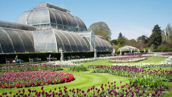 Shop for Tickets: Kew Gardens and Palace Admission for Two Adults - Image 5