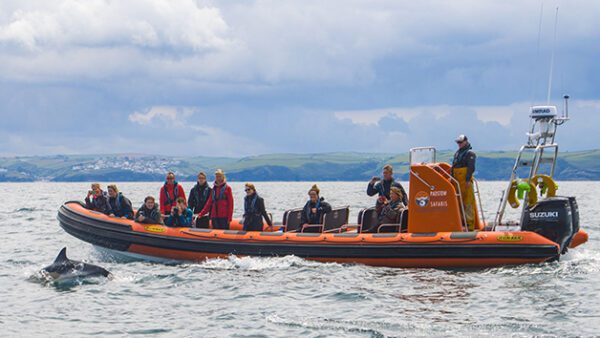 Shop: Exclusive Two-Hour Sealife Safari RIB Excursion for Two - Discover Padstow, Cornwall - Image 2