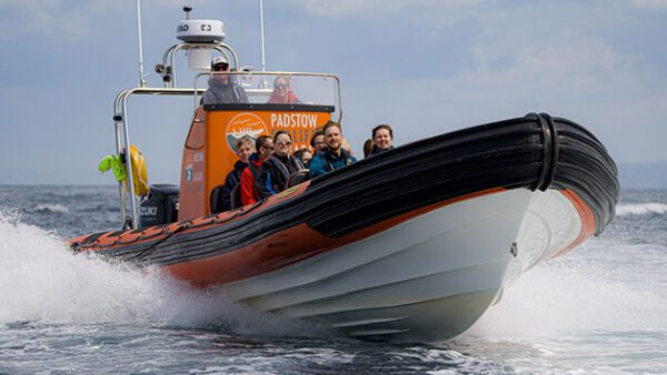 Shop: Exclusive Two-Hour Sealife Safari RIB Excursion for Two - Discover Padstow, Cornwall - Image 3