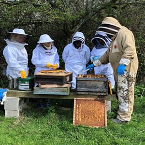 Shop the Exclusive Rural Beekeeping Experience for Two at Park Farm Cottage: An Inside the Hive Adventure