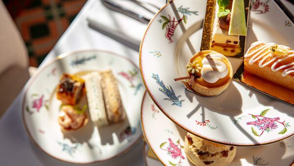 Shop the Exquisite Port Lympne Reserve Experience: Safari Adventure and Afternoon Tea for Two