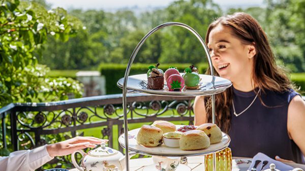 Shop the Exquisite Port Lympne Reserve Experience: Safari Adventure and Afternoon Tea for Two - Image 3
