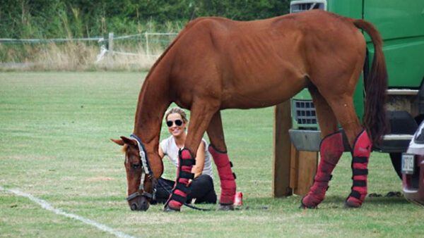 Shop the Exclusive 'Introduction to Polo' Experience Including Lunch at Taunton Vale Polo Club - Image 3