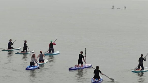 Shop the Exclusive One-Hour Group Lesson for Two: Stand-Up Paddleboarding Experience with Bay Paddle Boards - Image 6