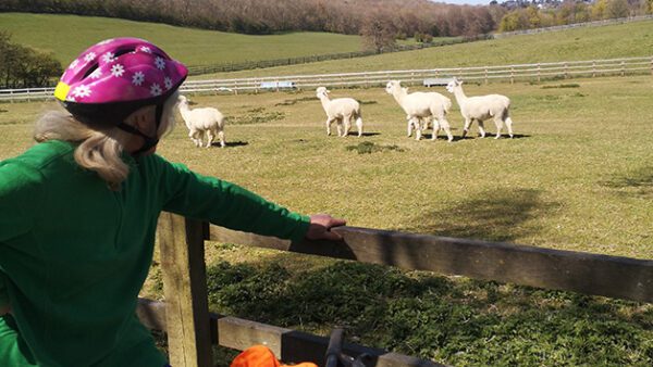 Shop for a Guided or Fully Coached Cycling Experience with Hidden Tracks for Individuals