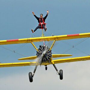 Shop the Exhilarating Wing Walking Adventure for an Individual