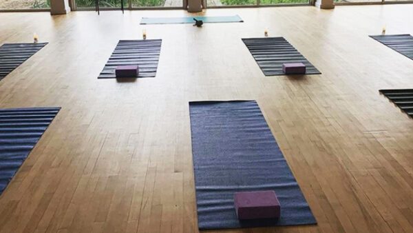 Shop Exclusive Access to Online Group Yoga Sessions with YogiTribe
