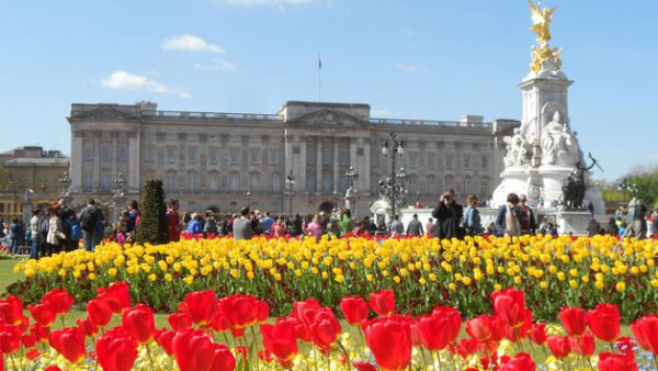 Shop the "Changing of the Guard" Exclusive Walking Tour Experience for Two - Image 6