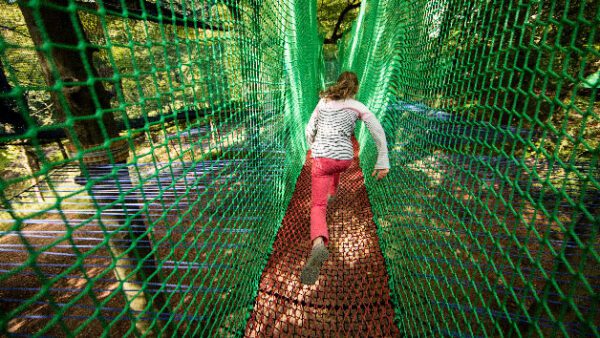 Shop the Treetop Trek Adventure for Two: Exclusive Net Experience - Image 3