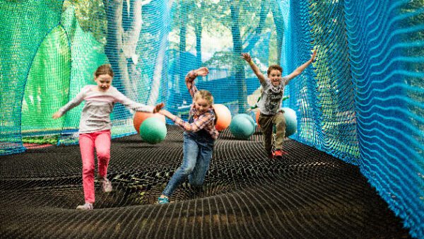 Shop the Treetop Trek Adventure for Two: Exclusive Net Experience - Image 2