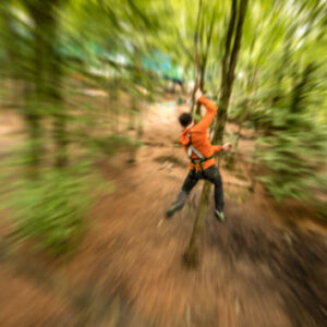 Shop the Treetop Trek Adventure: Zip Trekking and Treetop Nets Experience for One