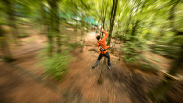 Shop the Treetop Trek Adventure: Zip Trekking and Treetop Nets Experience for One