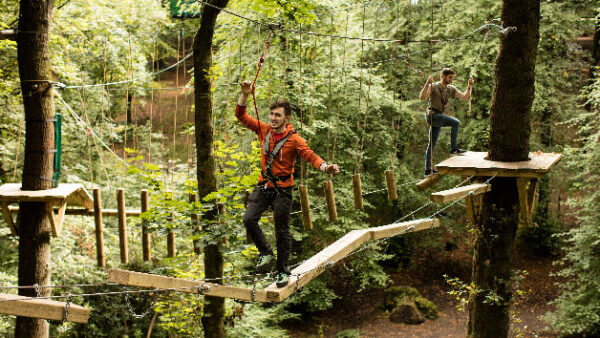 Shop the Exclusive Zip Trek Adventure at Treetop Trek for One Participant