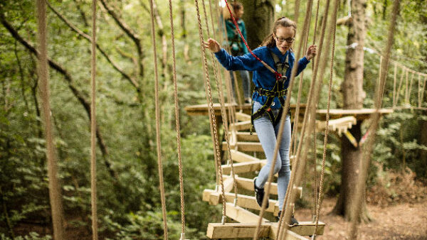 Shop the Exclusive Zip Trek Adventure at Treetop Trek for One Participant - Image 2