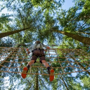 Shop the Zip World Tree Hoppers Adventure Experience – Single Participant Pass