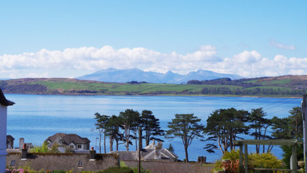 Shop the Exclusive Four-Hour Shinrin-Yoku Forest Bathing Experience in Largs for Individuals - Image 4