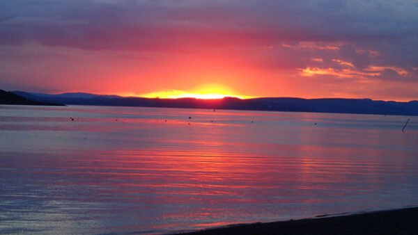 Shop the Exclusive Four-Hour Shinrin-Yoku Forest Bathing Experience in Largs for Individuals - Image 6