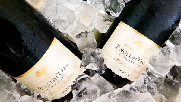 Shop the Exclusive Wine Tasting and Vineyard Tour Experience for Two at English Oak Vineyard
