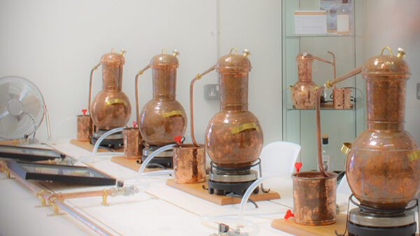 Shop the Exclusive Online Gin School Experience: Master Distilling Session with Pixel Spirits Distillery for Two