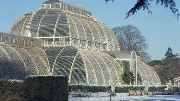Shop for Tickets: Kew Gardens and Palace Admission for Two Adults - Image 4