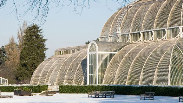 Shop for Tickets: Kew Gardens and Palace Admission for Two Adults - Image 3