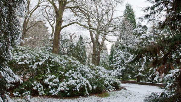 Shop for Tickets: Kew Gardens and Palace Admission for Two Adults - Image 6