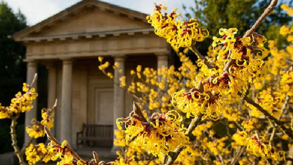 Shop for Tickets: Kew Gardens and Palace Admission for Two Adults