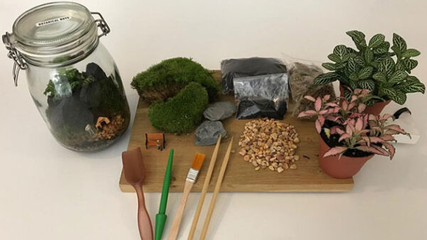 Shop the Exclusive Two-Hour Advanced Terrarium Workshop Experience at Botanical Boys for Individuals - Image 3