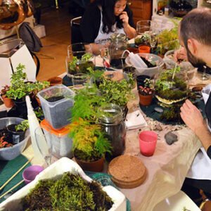 Shop the Exclusive Two-Hour Advanced Terrarium Workshop Experience at Botanical Boys for Individuals